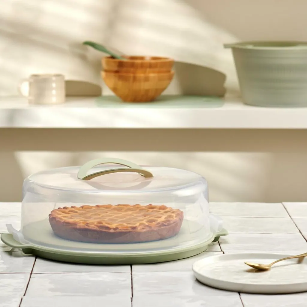 Cheap CASA BIOLINE Caixa Para Bolos Menta