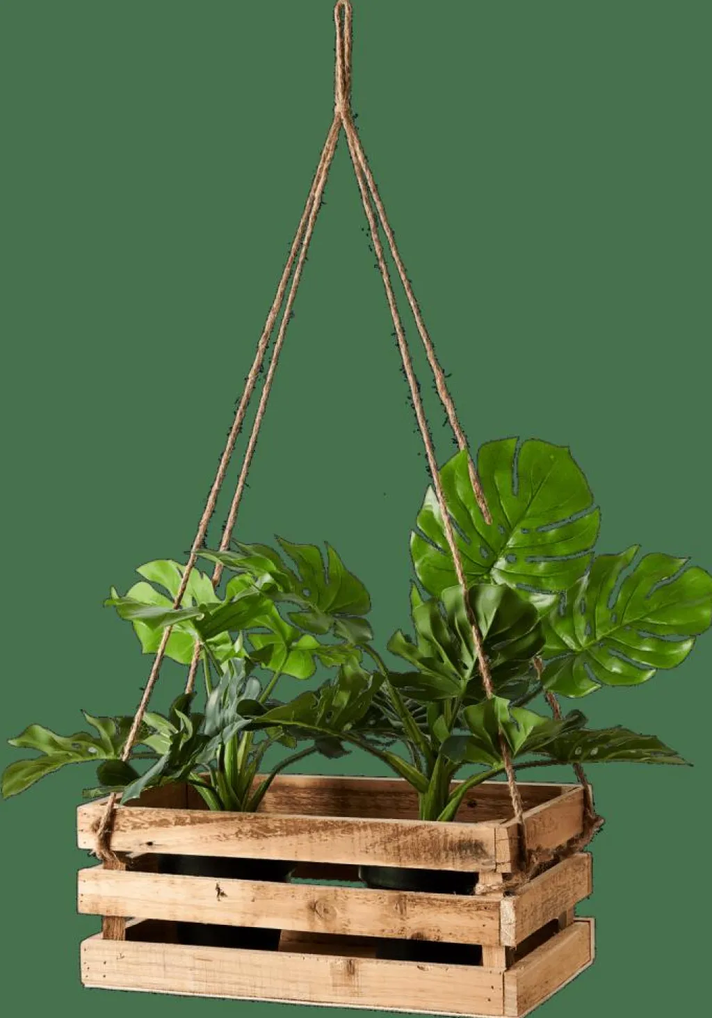 Store CASA CRATE Caixa Natural