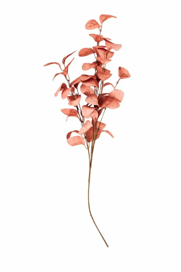 Outlet CASA EVA Eucalipto Verde