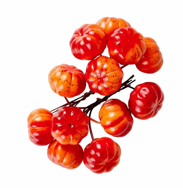 Best CASA FOAM Ramo De Romã Vermelho