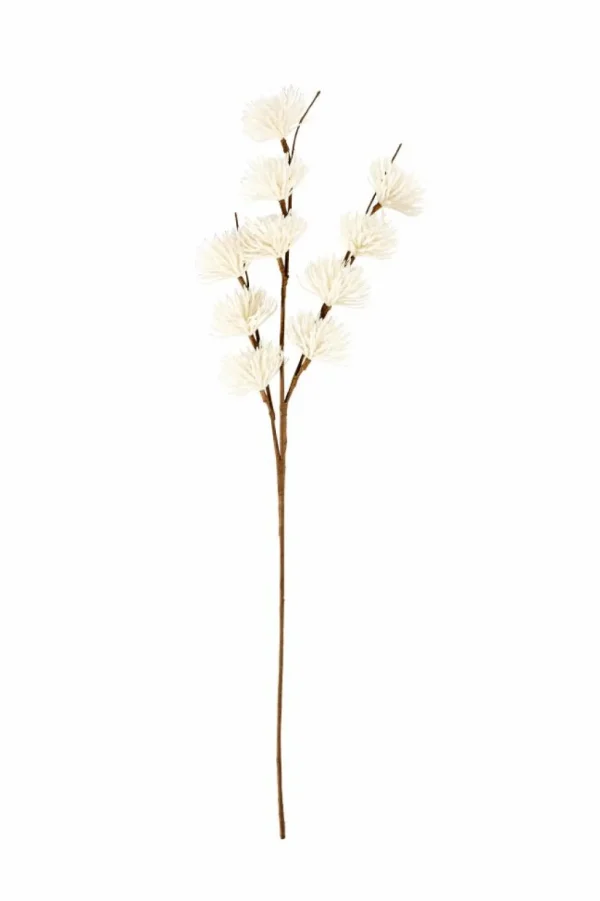 Best CASA FROST Lariço Verde