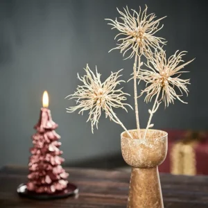 Best CASA GOLDY Cardo Dourado Champagne