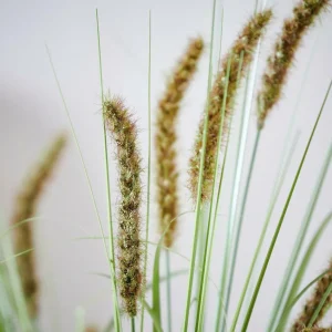 Best CASA GRASS Cana Artificial Verde