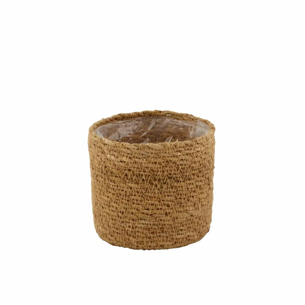 Cheap CASA HERBA Relva Em Vaso Verde