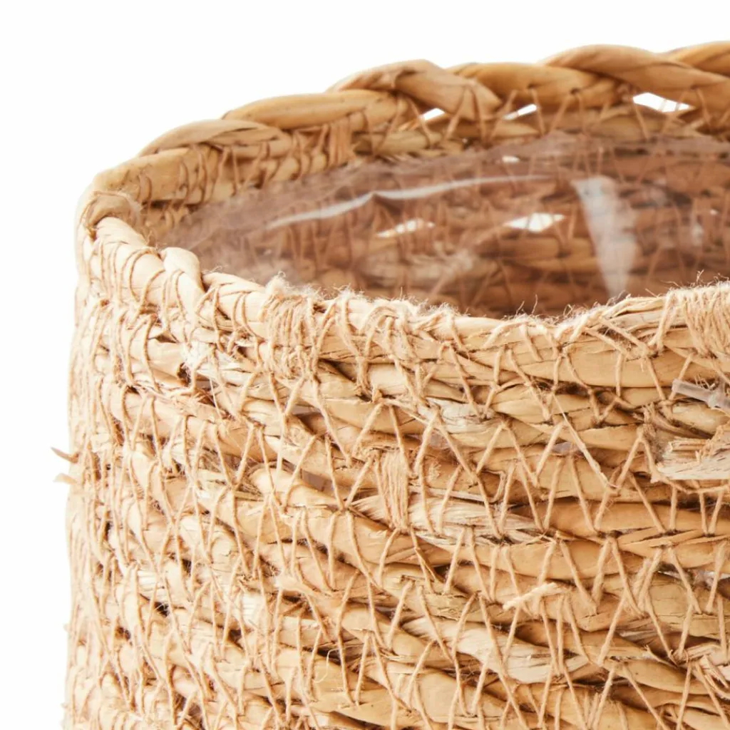 Cheap CASA HERBA Relva Em Vaso Verde