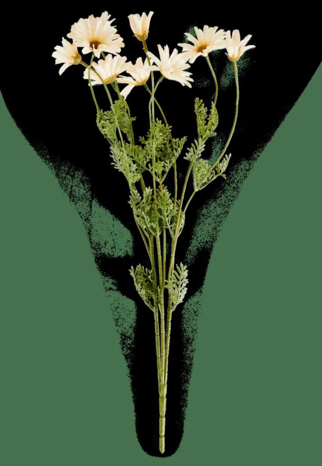 Cheap CASA INDI Crisântemo Creme