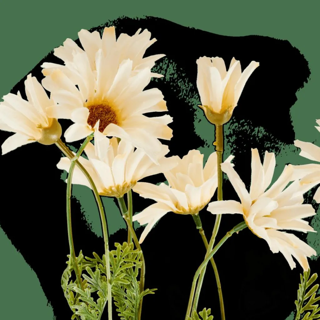 Cheap CASA INDI Crisântemo Creme