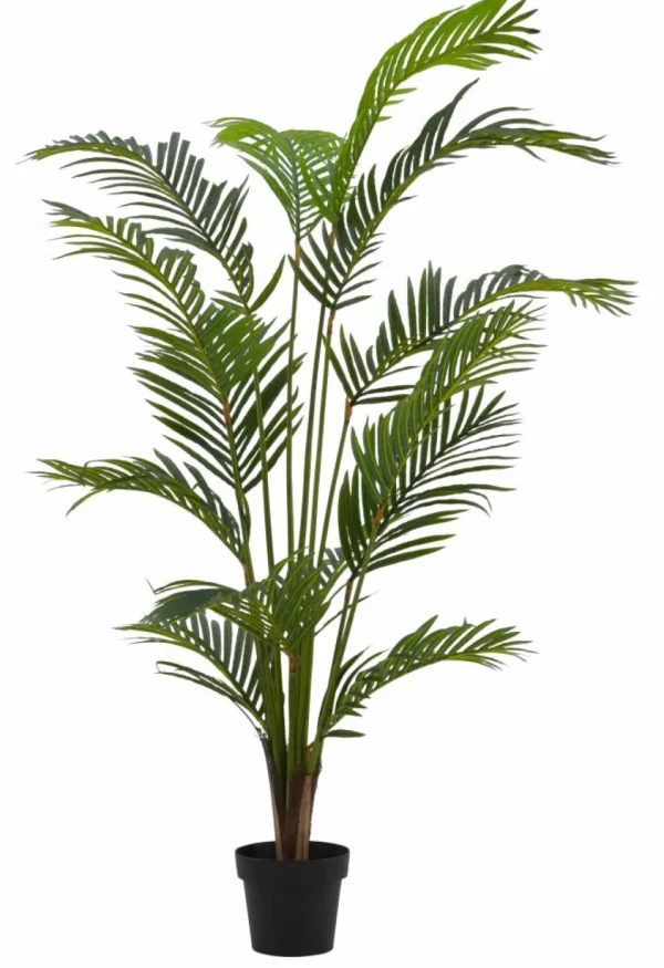 Best Sale CASA KWAI Palmeira Verde