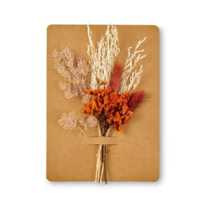 New CASA MIA Deco Seca Cor-de-laranja