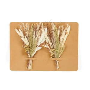 New CASA MIA Deco Seca Verde