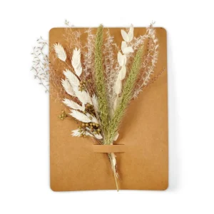 Sale CASA MIA Deco Seca Verde