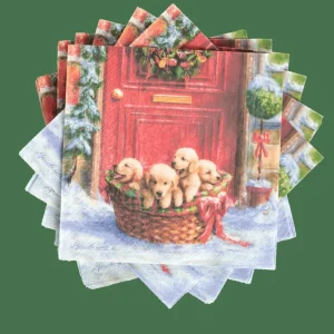 Best CASA PUPPIES Guardapos Conjunto De 20 Multicolor