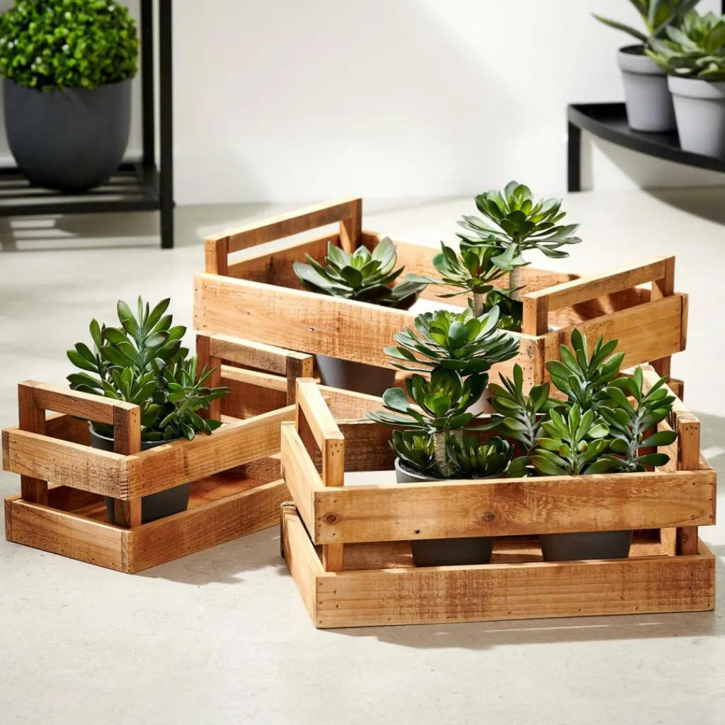 Hot CASA RECYCLE Caixa Natural