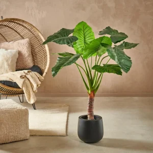 Best Sale CASA TARO Planta Artificial Arão Verde
