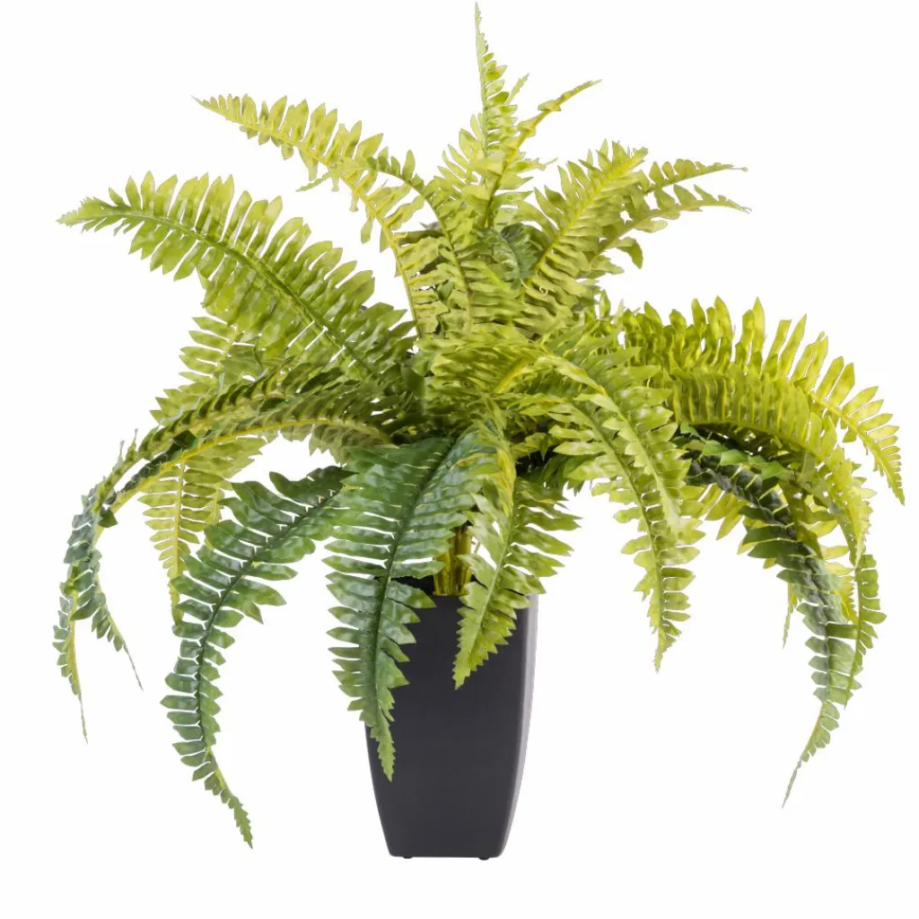 Clearance CASA TEAK Suporte Natural